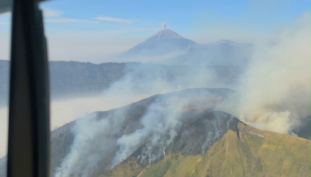 14 Kawasan Gunung di Jawa Timur Alami Kebakaran Sepanjang Kemarau