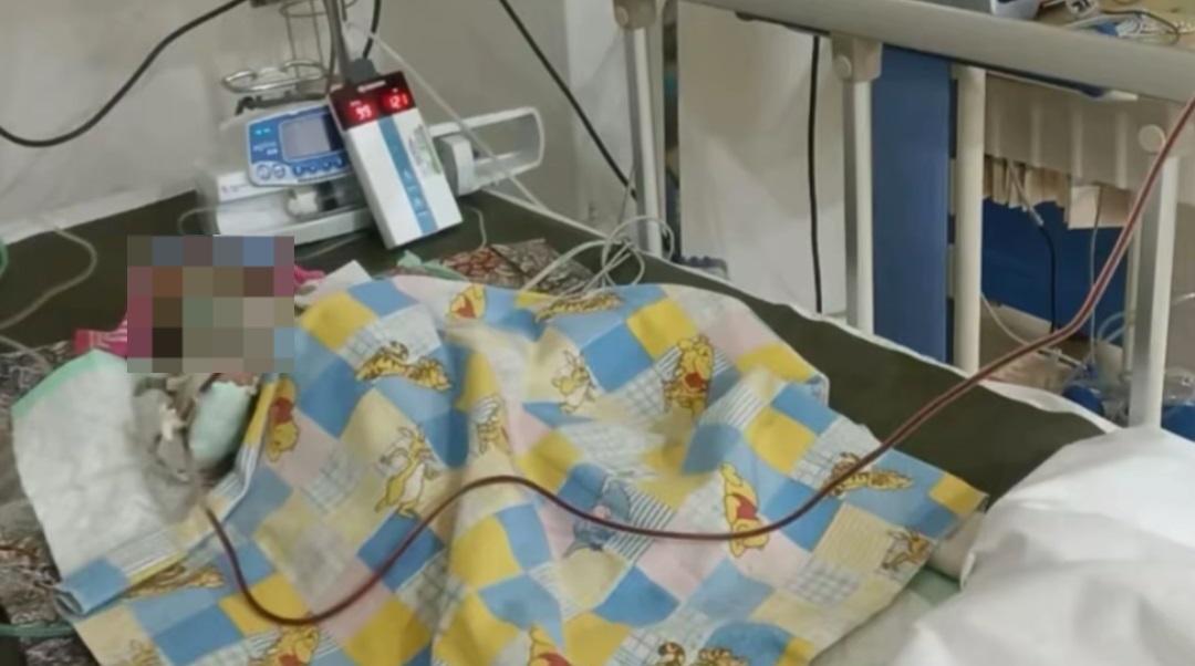 Bayi 24 Hari Meninggal Dunia di Surabaya, Sebelumnya Diduga Diberi Telur Mentah