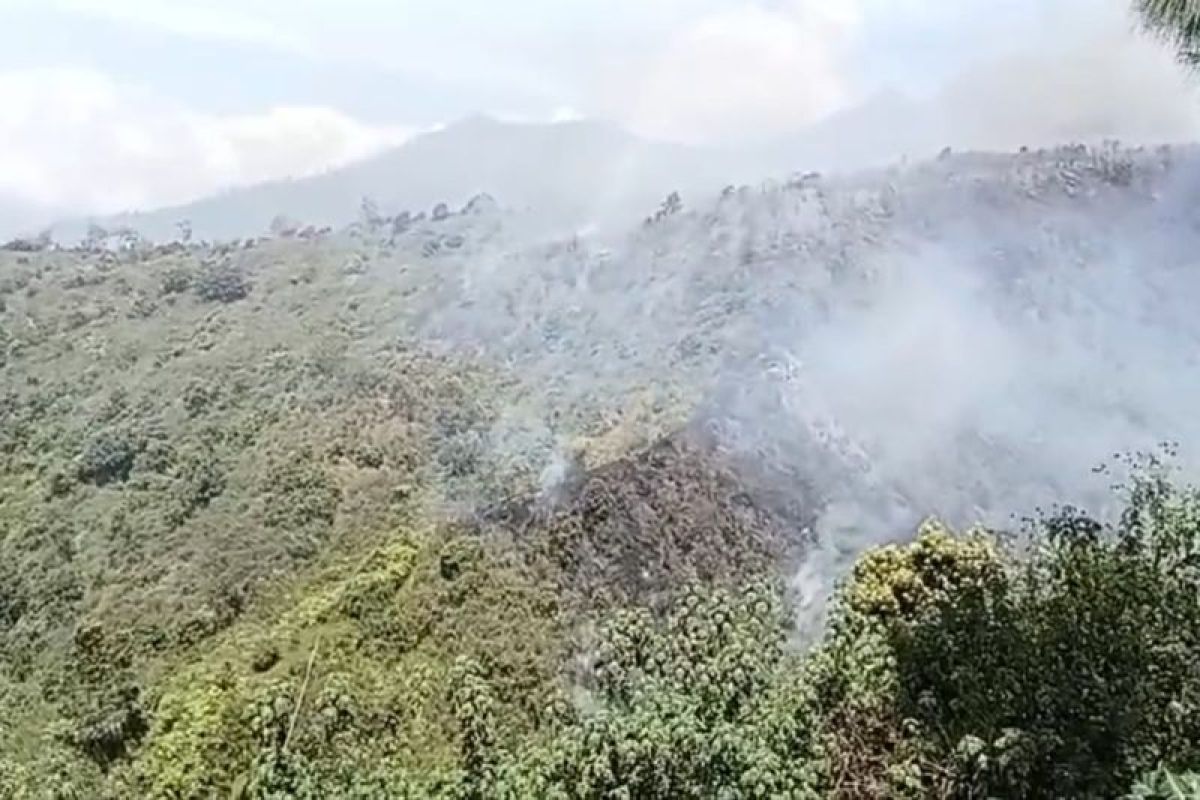 Karhutla Kembali Terjadi di Lereng Bromo, Petugas Terkendala Medan Terjal