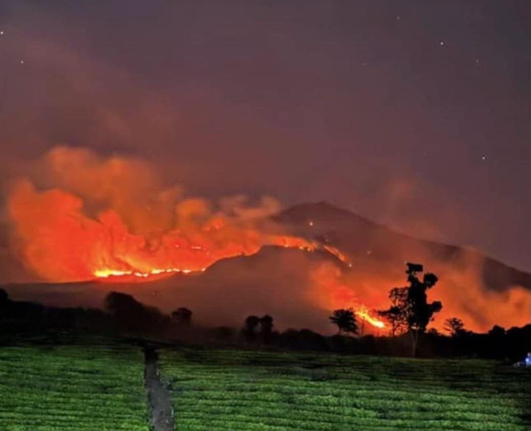 Karhutla Gunung Arjuno-Welirang Meluas 736 Hektare, Terpantau Ada 53 Titik Panas