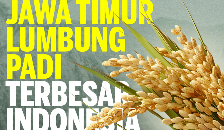 Jawa Timur Lumbung Padi Terbesar Indonesia