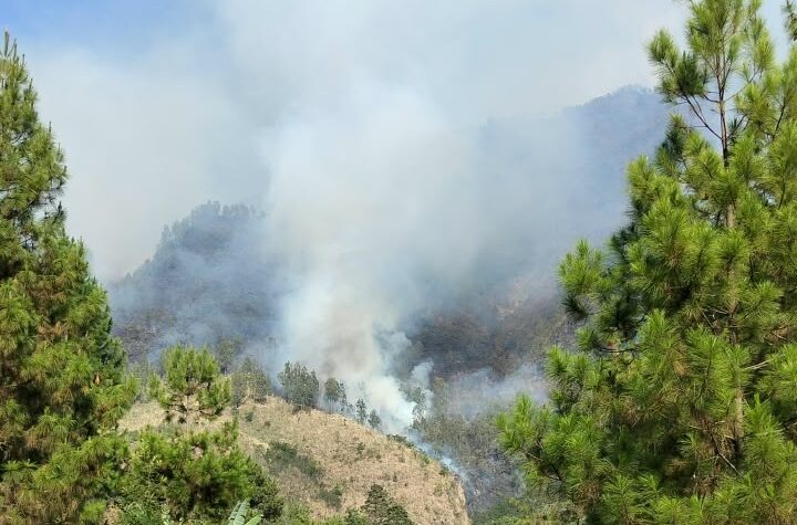 Jalur Pendakian Arjuno Ditutup, BPBD Minta Bantuan Helikopter Water Bombing