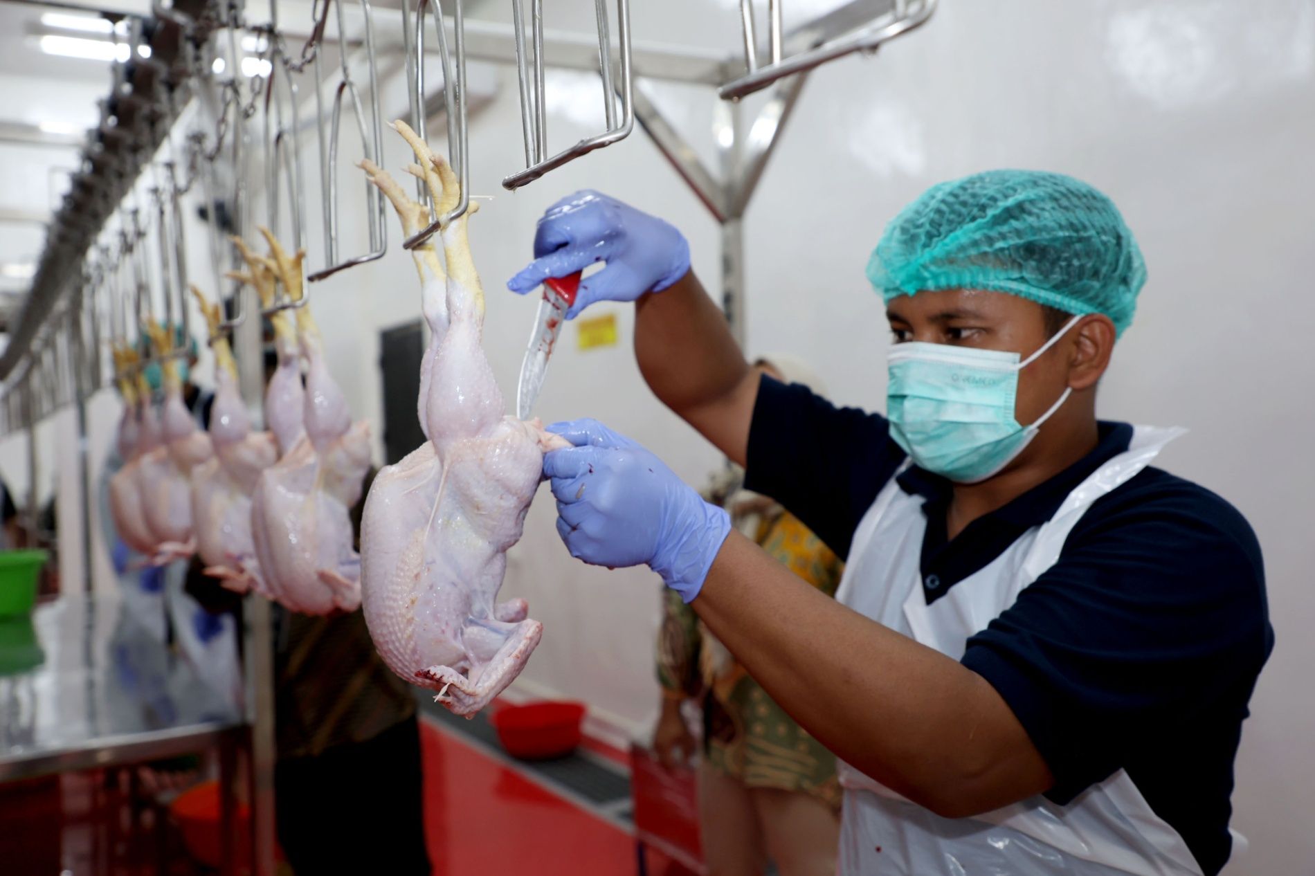 Usaha Potong Ayam di Bratang Gede Disegel, RPH Surabaya Tawarkan Solusi di Lakarsantri